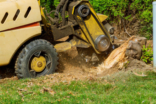 Best Lawn Maintenance Plans  in Oglala, SD